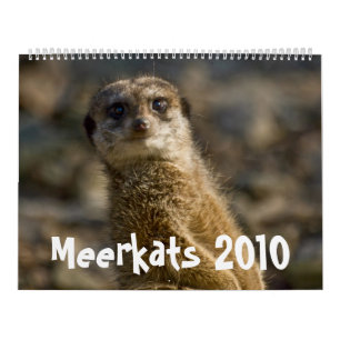 Mural Calendrier de Meerkats 2010