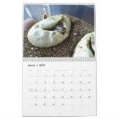 Mural Calendrier de MightyMorphs (Mar 2027)