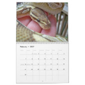 Mural Calendrier de MightyMorphs (Feb 2027)