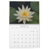 Mural Calendrier de nénuphars (Jan 2027)
