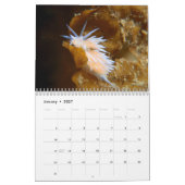 Mural Calendrier de Nudibranch (Jan 2027)
