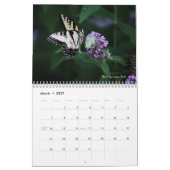 Mural Calendrier de papillons de machaon (Mar 2027)
