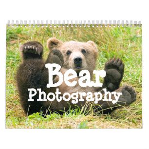 Mural Calendrier de photographie d'ours