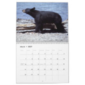 Mural Calendrier de photographie d'ours (Mar 2027)