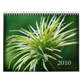 Mural Calendrier de photographie en couleur 2010 (Protection)