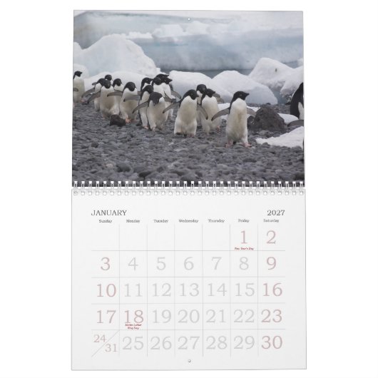 Mural Calendrier de pingouins de l'Antarctique (Jan 2027)