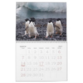 Mural Calendrier de pingouins de l'Antarctique (Mar 2027)