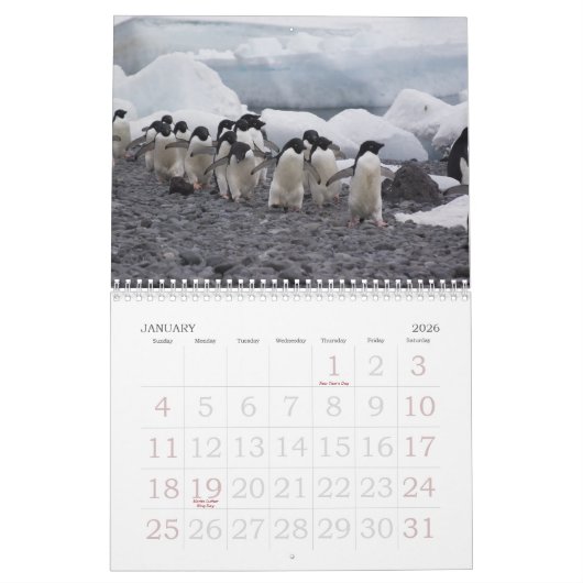Mural Calendrier de pingouins de l'Antarctique (Jan 2026)