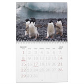 Mural Calendrier de pingouins de l'Antarctique (Mar 2026)