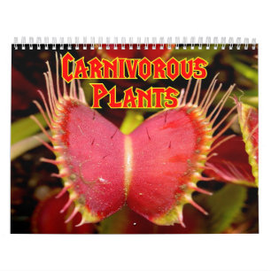 Mural Calendrier de plantes carnivores