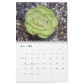 Mural Calendrier de plantes carnivores (Mar 2026)