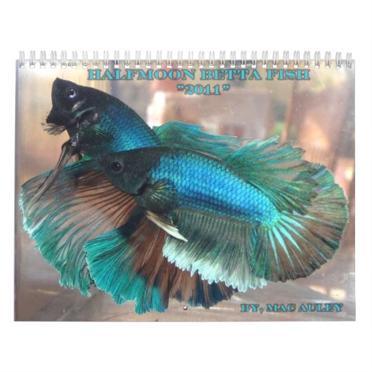 Mural Calendrier de poissons de Betta de demi-lune (Protection)