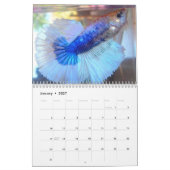 Mural Calendrier de poissons de Betta de demi-lune (Jan 2027)