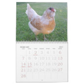 Mural Calendrier de poulets (Feb 2027)