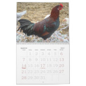 Mural Calendrier de poulets (Mar 2027)