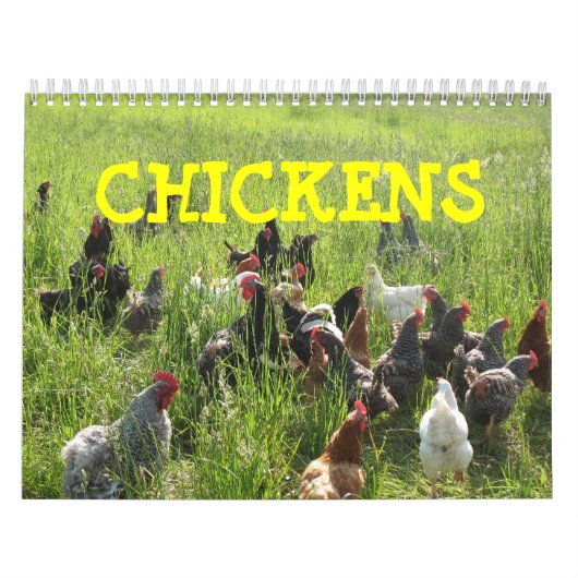 Mural Calendrier de poulets (Protection)