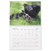 Mural Calendrier de poulets (Jan 2026)