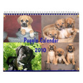 Mural Calendrier de Puggle (Protection)