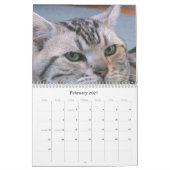 Mural Calendrier de race de délivrance de race de chat (Feb 2027)