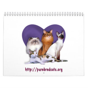Mural Calendrier de race de délivrance de race de chat