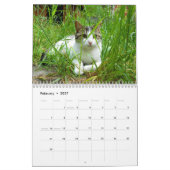 Mural Calendrier "de ranch de Caboodle" (Feb 2027)
