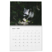 Mural Calendrier de ratons laveurs (Mar 2027)