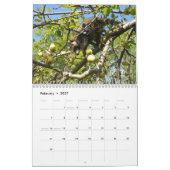 Mural Calendrier de ratons laveurs (Feb 2027)