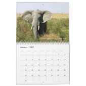 Mural Calendrier de safari de 2017 Africains (Jan 2027)