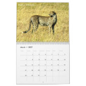 Mural Calendrier de safari de 2017 Africains (Mar 2027)