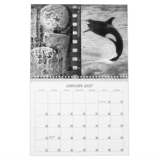 Mural Calendrier de San Diego (Jan 2027)