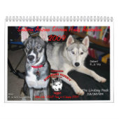 Mural Calendrier de SASHA 2009 (Protection)