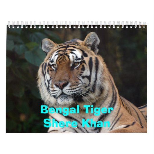 Mural Calendrier de Shere-Khan, Bengale TigerShere Khan (Protection)