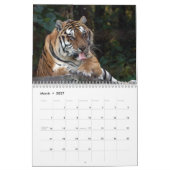 Mural Calendrier de Shere-Khan, Bengale TigerShere Khan (Mar 2027)