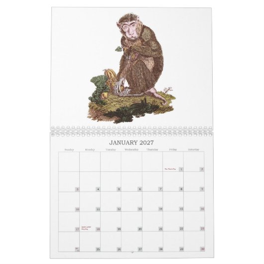 Mural Calendrier de singe (Jan 2027)