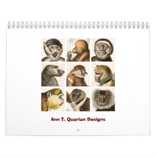 Mural Calendrier de singe