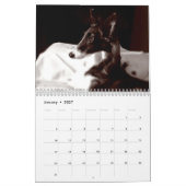 Mural calendrier de soie de 4 2016 chiots de Windhound (Jan 2027)