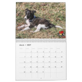 Mural calendrier de soie de 5 2016 chiots de Windhound (Mar 2027)