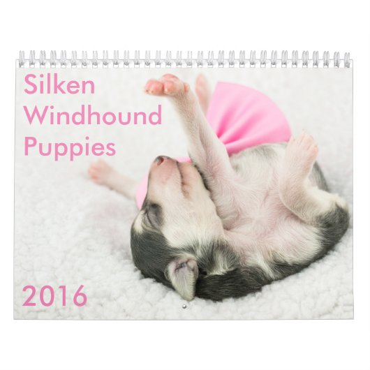 Mural calendrier de soie de 5 2016 chiots de Windhound (Protection)