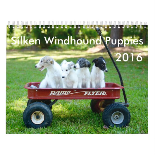 Mural calendrier de soie de 6 2016 chiots de Windhound (Protection)