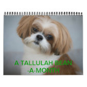 Mural Calendrier de Tallulah Bean Cute Shih Tzu 2014 (Protection)
