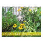 Mural Calendrier de Terrier de cairn 2010 (Protection)