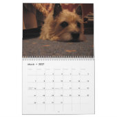 Mural Calendrier de Terrier de cairn 2010 (Mar 2027)