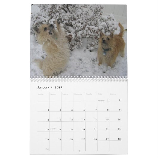 Mural Calendrier de Terrier de cairn 2010 (Jan 2027)