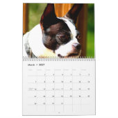 Mural Calendrier de terriers de Boston (Mar 2027)