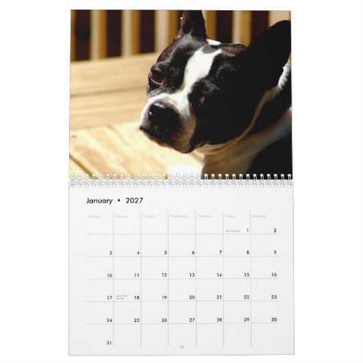 Mural Calendrier de terriers de Boston (Jan 2027)