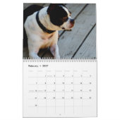 Mural Calendrier de terriers de Boston (Feb 2027)
