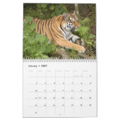 Mural Calendrier de tigres de Bengale, tigres de Bengale (Jan 2027)