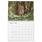 Mural Calendrier de tigres de Bengale, tigres de Bengale (Feb 2027)