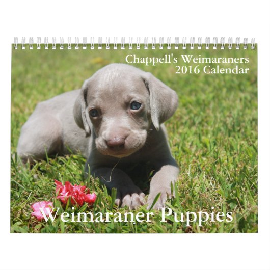 Mural Calendrier de Weimaraner (Protection)