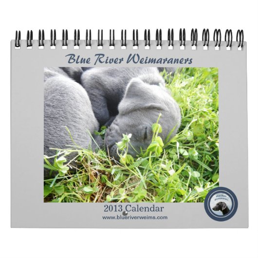 Mural Calendrier de Weimaraners de rivière de 2013 bleus (Protection)